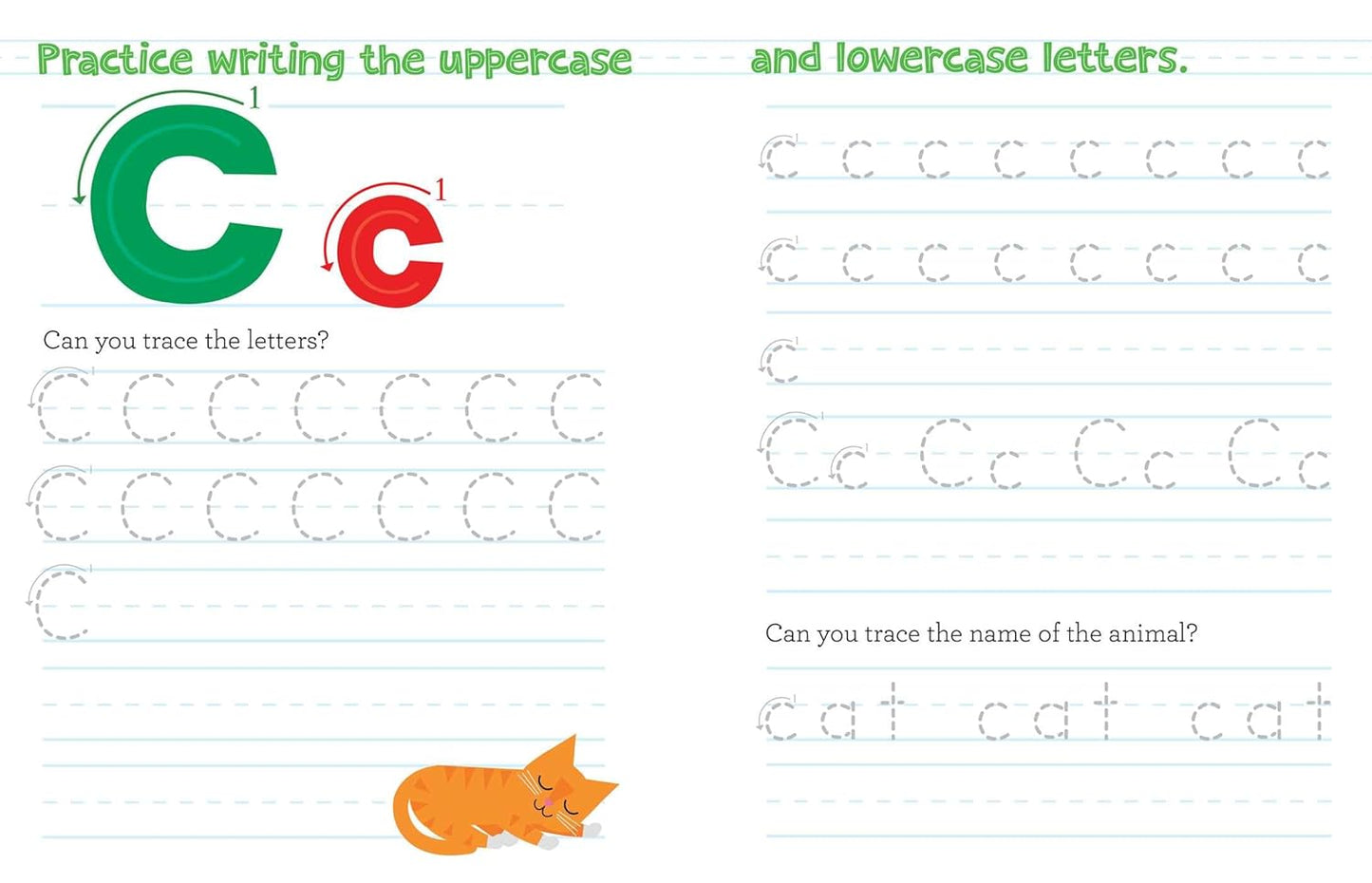 Chicka Chicka Boom Boom: Learn to Write (Workbooks for Preschoolers)