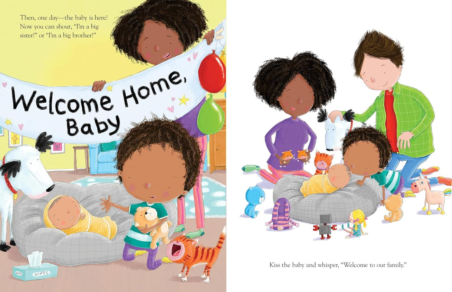 How to Welcome a New Baby (Board Book)