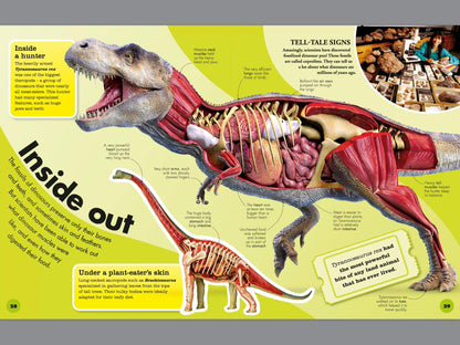 Everything You Need to Know About Dinosaurs (Hardcover)