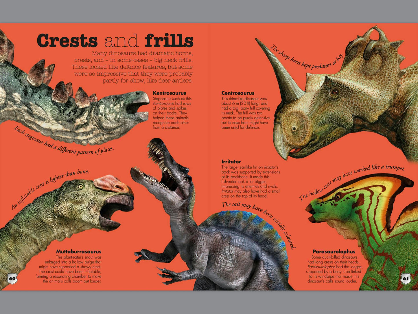 Everything You Need to Know About Dinosaurs (Hardcover)